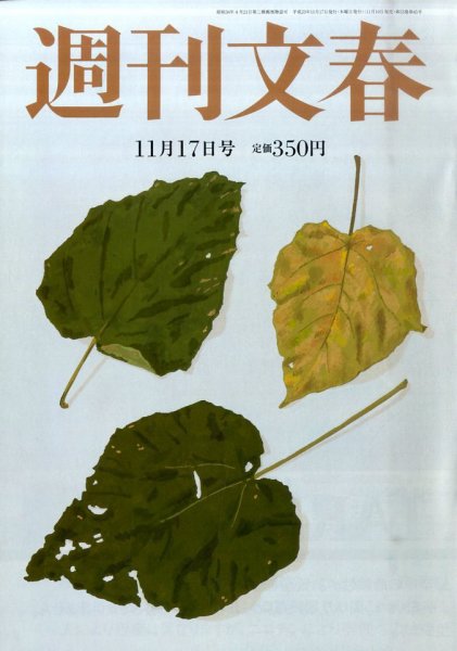 週刊文春 11/17号 (発売日2011年11月10日) 表紙
