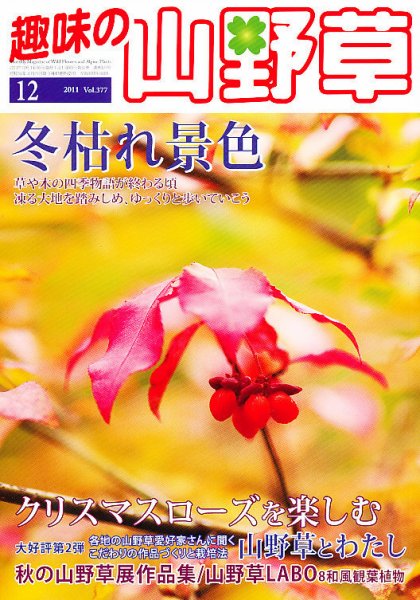 趣味の山野草 12月号 (発売日2011年11月11日) 表紙
