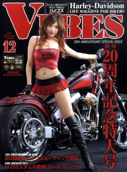 VIBES（バイブズ） 12月号 (発売日2011年11月11日) 表紙