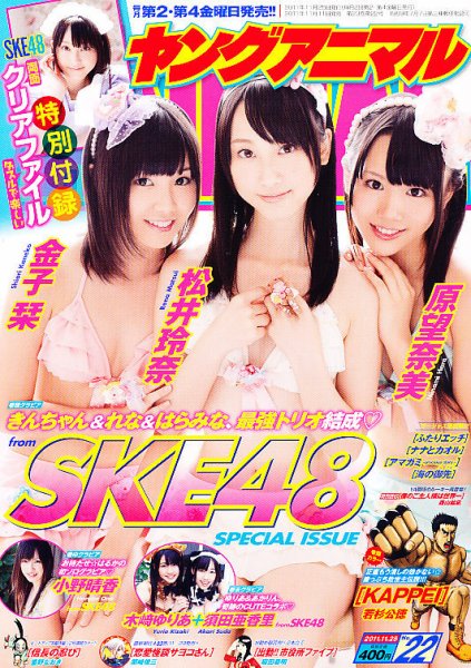 ヤングアニマル 11/25号 (発売日2011年11月11日) 表紙