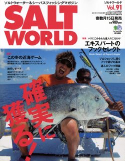 SALT WORLD（ソルトワールド） Vol.91 (発売日2011年11月15日) 表紙
