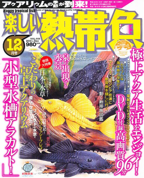 楽しい熱帯魚 12月号 (発売日2011年11月11日) 表紙