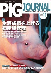 ピッグジャーナル 11月号 (発売日2011年11月15日) 表紙