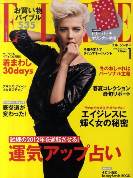 エル・ジャポン（ELLE JAPON） 1月号 (発売日2011年11月28日) 表紙