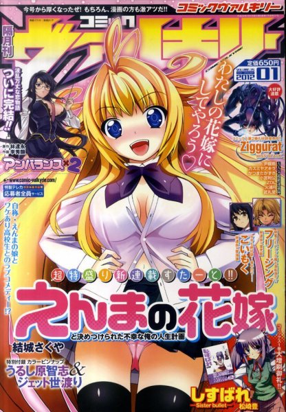 ヴァルキリー 1月号 (発売日2011年11月28日) 表紙
