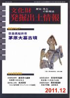 文化財発掘出土情報 12月号 (発売日2011年12月01日) 表紙