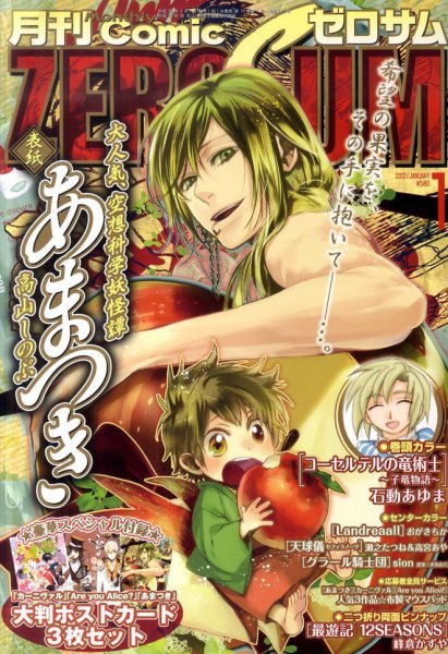 Comic ZERO-SUM (コミック ゼロサム) 1月号 (発売日2011年11月28日) 表紙
