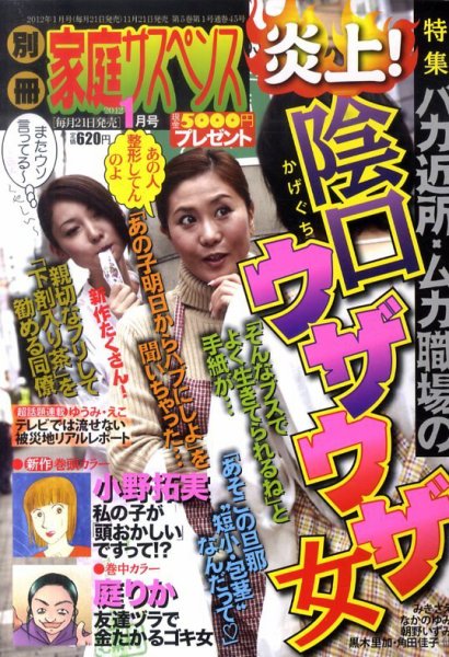 別冊 家庭サスペンス 1月号 (発売日2011年11月21日) 表紙