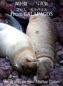 深沢健一写真集 フロム ガラパゴス (発売日2011年05月11日) 表紙