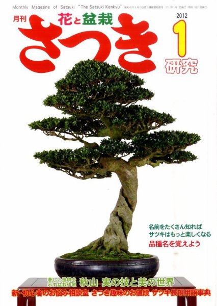 さつき研究 1月号 (発売日2011年12月05日) 表紙