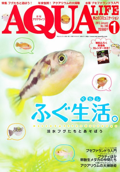 アクアライフ 1月号 (発売日2011年12月10日) 表紙