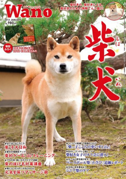 wan（わん） 2012年1月号 (発売日2011年12月14日) 表紙