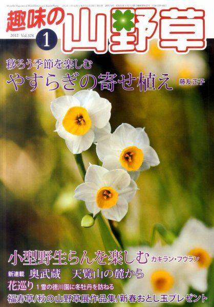 趣味の山野草 1月号 (発売日2011年12月12日) 表紙