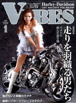 VIBES（バイブズ） 1月号 (発売日2011年12月10日) | 雑誌/定期