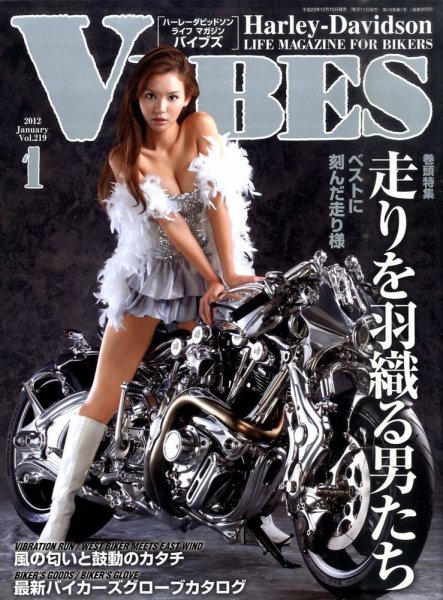 VIBES（バイブズ） 1月号 (発売日2011年12月10日) 表紙