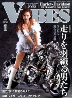バイブズ VIBES1998年1月から11月号 11冊 Amazon.co.jp: VIBES (バイブズ) 2023年5月号 (vol.355