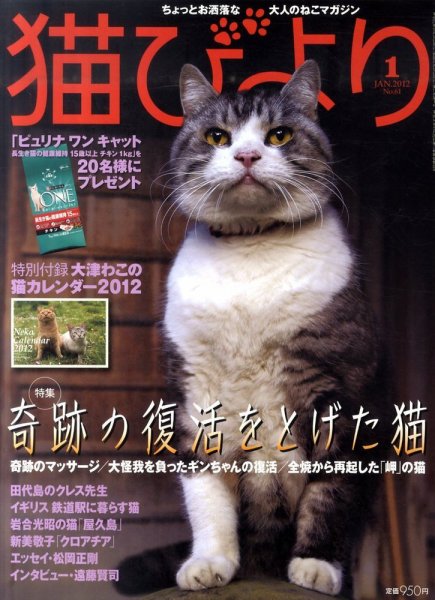 猫びより 61号 (発売日2011年12月12日) 表紙