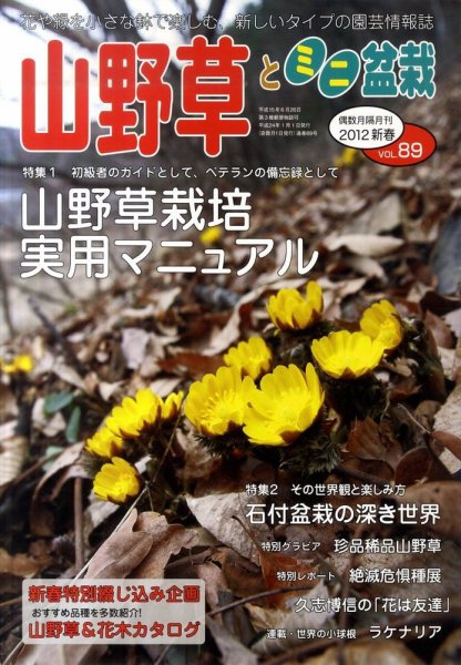 山野草とミニ盆栽 1月号 (発売日2011年12月12日) 表紙