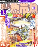 楽しい熱帯魚 1月号 (発売日2011年12月10日) 表紙
