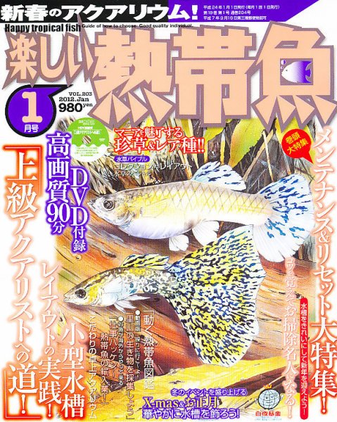 楽しい熱帯魚 1月号 (発売日2011年12月10日) 表紙
