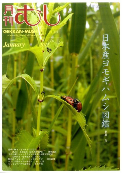 月刊むし 491 (発売日2011年12月22日) 表紙