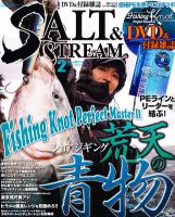 SALT＆STREAM（ソルト＆ストリーム） 2月号 (発売日2011年12月21日) 表紙