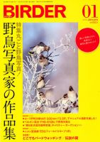 BIRDER（バーダー） 2012年1月号 表紙