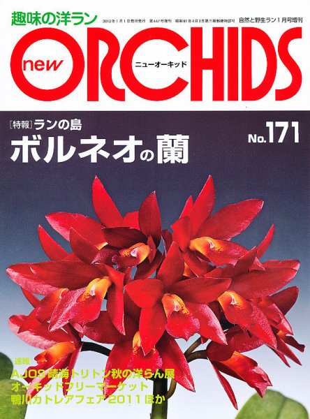 new ORCHIDS(ニュー・オーキッド)  171号 (発売日2011年12月21日) 表紙