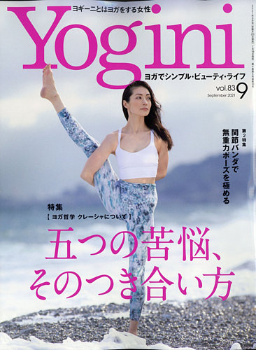 GOSSIS,Celeb Scandals 海外セレブ 雑誌 【39冊 セット】 GOSSIS,Celeb Scandals 海外セレブ 雑誌 【39冊 セット】