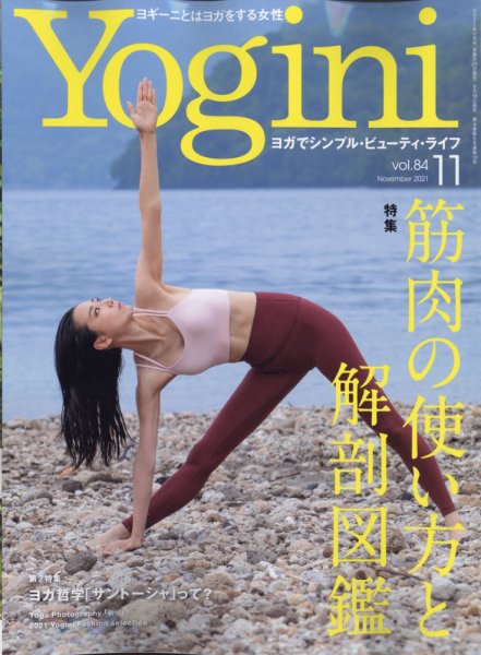 Love Celeb（ラブセレブ） 11月号 (発売日2011年09月17日) 表紙