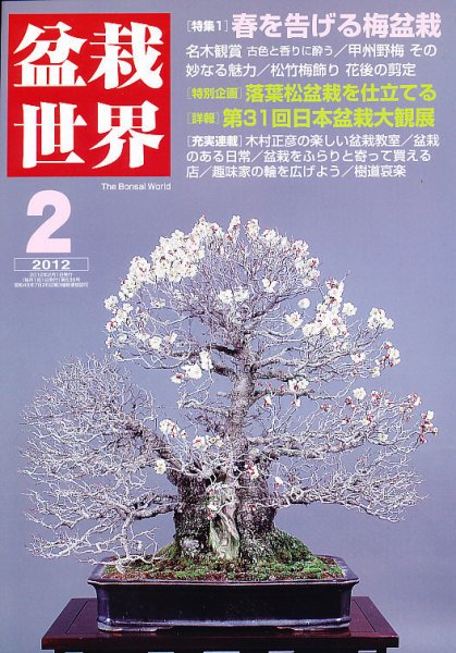 盆栽世界 2012年2月 (発売日2011年12月29日) 表紙