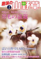 趣味の山野草 2017年01月号 趣味の山野草2024年1月号 | 栃の葉書房 |本 | 通販 | Amazon