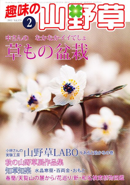 趣味の山野草 2月号 (発売日2012年01月12日) 表紙