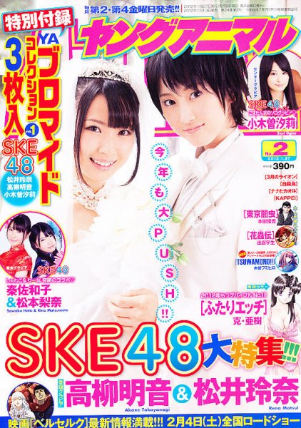 ヤングアニマル 1/27号 (発売日2012年01月13日) 表紙