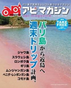 雑誌 定期購読の予約はfujisan 雑誌内検索 スタホネット がapi Magazine アピ マガジン の12年01月日発売号で見つかりました