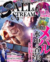 SALT＆STREAM（ソルト＆ストリーム） 3月号 (発売日2012年01月21日) 表紙