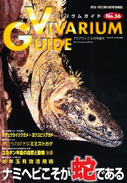 ビバリウムガイド 56号 (発売日2012年01月28日) 表紙