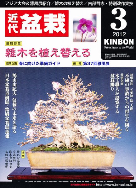 月刊 近代盆栽 3月号 (発売日2012年02月03日) 表紙