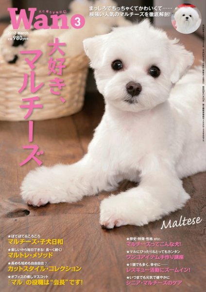 wan（わん） 2012年3月号 (発売日2012年02月14日) 表紙