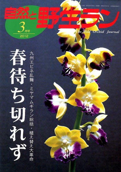 園芸Japan 2012年3月 (発売日2012年02月10日) 表紙