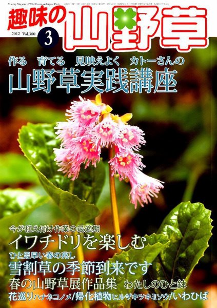 趣味の山野草 3月号 (発売日2012年02月10日) 表紙