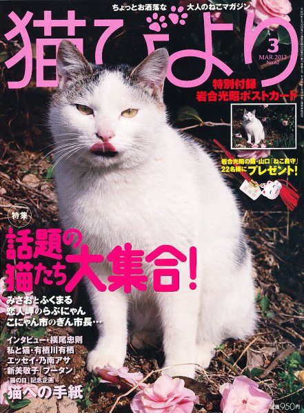 猫びより 62号 (発売日2012年02月10日) 表紙