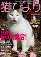 猫びより  62号 表紙