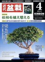 月刊 近代盆栽 4月号 表紙