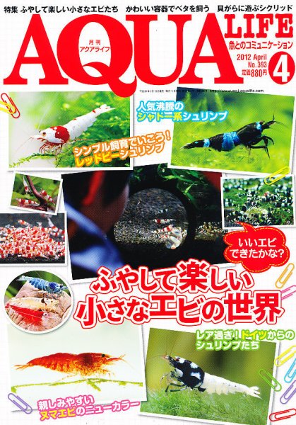 アクアライフ 4月号 (発売日2012年03月10日) 表紙