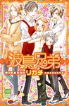 波鳥兄弟 1巻 (発売日2008年10月16日) 表紙