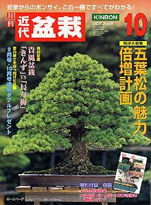 盆栽⑩ 訳あり 月刊 近代盆栽 10月号 (発売日2005年09月05日) | 雑誌/定期購読の予約