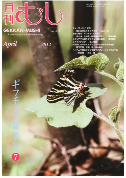 月刊むし 494 (発売日2012年03月23日) 表紙