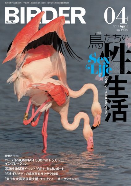 BIRDER（バーダー） 2012年4月号 (発売日2012年03月16日) 表紙