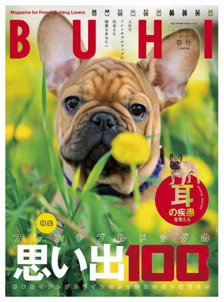 BUHI（ブヒ） 5月号 (発売日2012年03月27日) 表紙